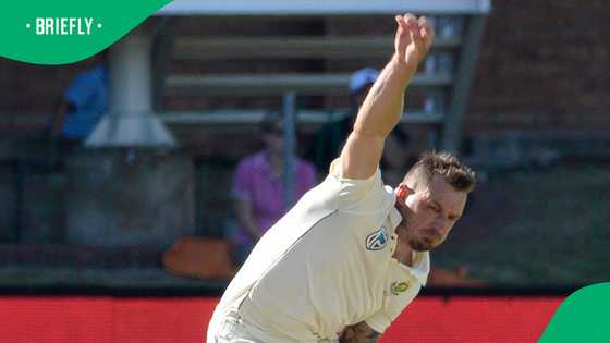 Dale Steyn’s Zimbabwe travel tip sends cricket fans into a frenzy ahead of 2027 World Cup