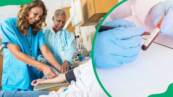 Phlebotomist requirements, duties, and salary expectations in South Africa
