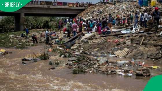 Sewage and pollution push Gauteng’s rivers toward ecological collapse