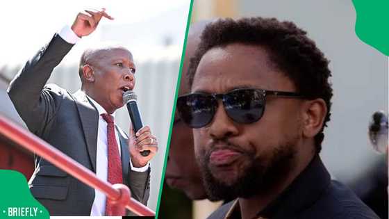 Fake news: Mbuyiseni Ndlozi slams viral social media post criticising EFF leader Julius Malema