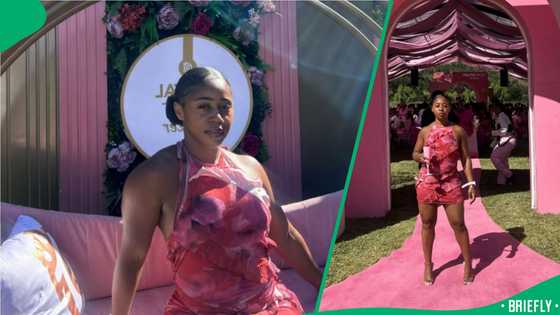 "You're in the top 1%": UK woman tries kota and SA disagrees with her take