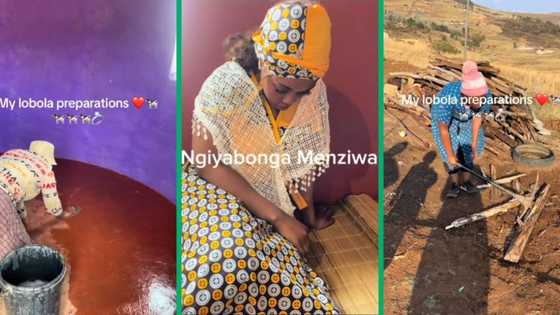 From chopping wood to painting rondavels: Bride-to-be's viral TikTok captures lobola preparations