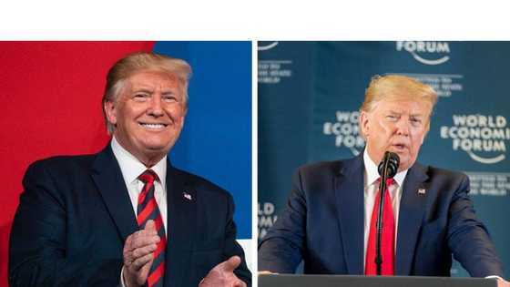 You will not believe Donald Trump net worth in 2020