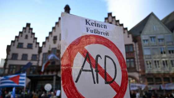 Major German companies warn against vote for extremism