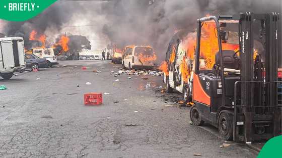 Violence erupts in KuGompo City as protesters set vehicles alight during march against Nigerian king