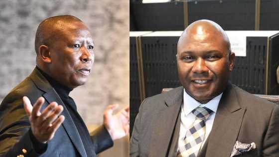 "We grew up with Jodilee Matango": Malema defends Johannesburg mayor