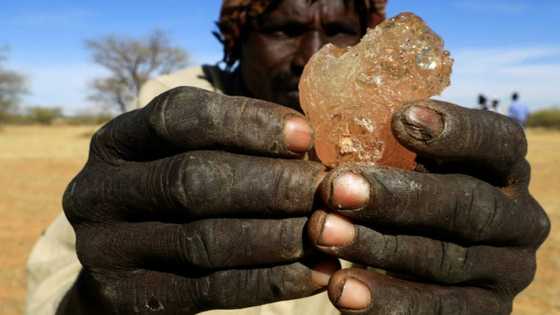 Sudan war hits crucial gum arabic business