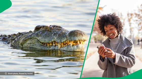 "He became Zulu for a second": SA laughs at man's frightening encounter with crocodile