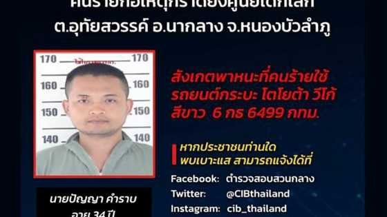 Gunman murders at least 30 in Thai nursery attack
