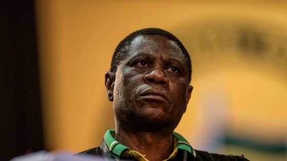 Paul Mashatile reassures media houses that they won't have to pay a fee to cover ANC's Nasrec conference