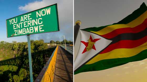 Helen Suzman Foundation wants Home Affairs to reconsider decision to end Zim permits