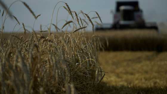 EU states agree 'prohibitive' tariffs on Russia grain imports