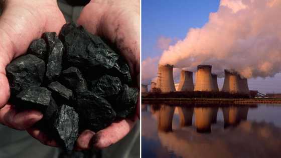Deputy energy minister insists coal will remain king in SA even as energy transition gains momentum