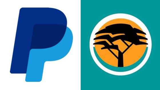 Easy steps to link FNB PayPal accounts