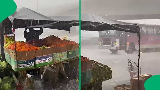 "Please be safe": Heavy hail batters outdoor fruit market as vendor protects fresh produce, SA moved