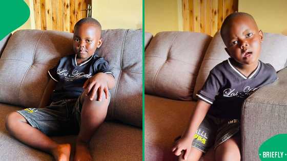 "His questions make sense": Zuluboy has Mzansi in stitches after refusing to do an OOTD video