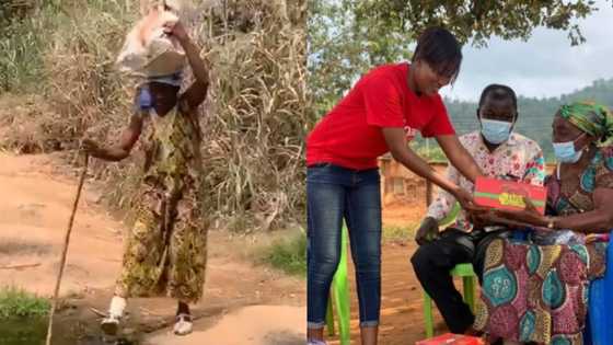 Endurance: Lady, 74, treks 4 hours a day with walking stick to her farm