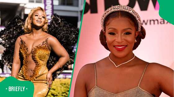 South Africans comment on Jessica Nkosi's fiery Instagram Stories