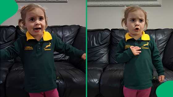 "Give Rassie a call": Cutest Springboks supporter proudly belts national anthem, SA moved