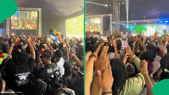 "You can't groove to Neria": Packed turnout at Zimfest has Zim and SA clashing
