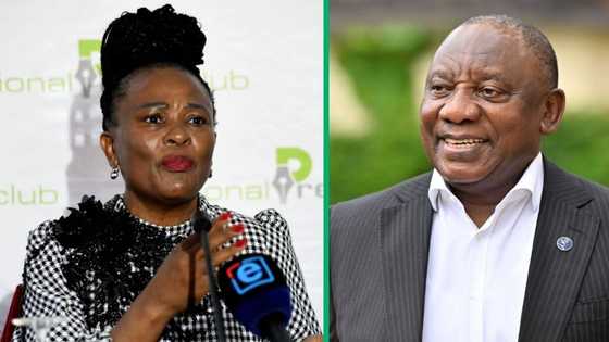 Mkhwebane throws shade after getting fired as Public Protector, plans to challenge Ramaphosa