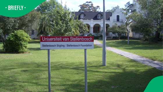 Stellenbosch University parent outraged over alleged racism and vandalism of son's room