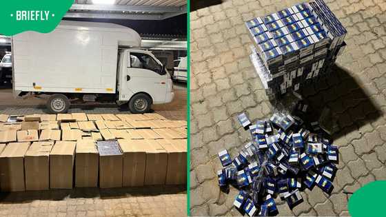 Acornhoek police seize R1.9 million in illicit cigarettes, arrest 45-year-old man in Mpumalanga