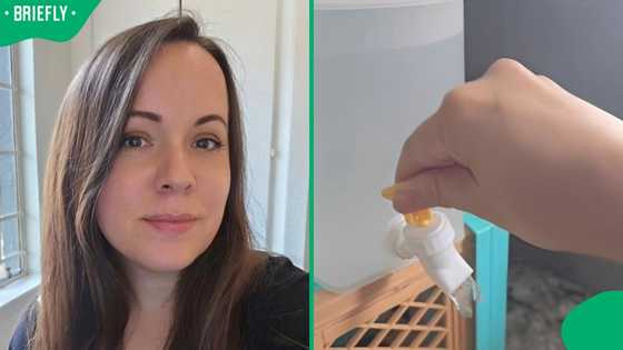 "Nothing new to us": South Africans relate as American woman experiences Johannesburg's water outage