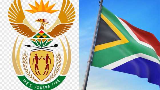 South African coat of arms and flag: meaning of symbols and colours (images)