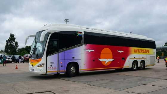 Another Intercape bus driver shot outside depot, MECs condemn the unprovoked attack