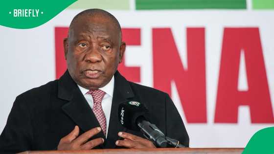 ActionSA, Democratic Alliance mixed reaction to Ramaphosa migration address
