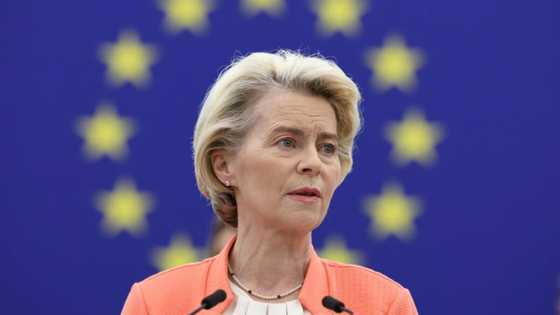 EU to probe China electric car subsidies