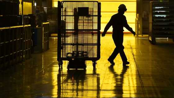 Business confidence slumps among Japan's big manufacturers