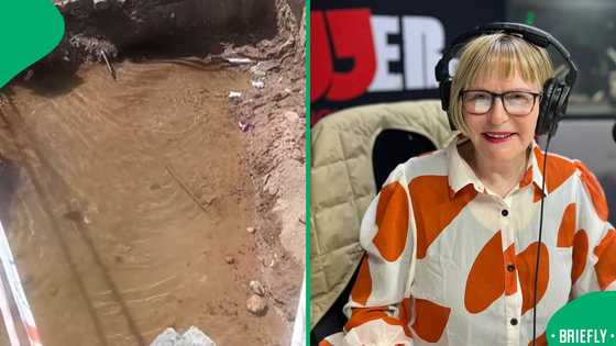 Man invited Helen Zille for a swim after she turned flooded Johannesburg streets into pool