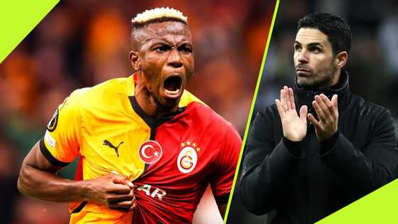 Former Premier League star begs Arsenal to sign Victor Osimhen for one crucial reason