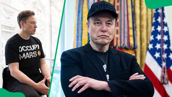 What are Elon Musk's degrees? He dropped out of Stanford after only two days