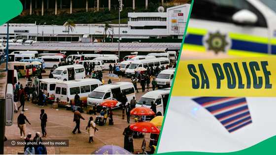 SAPS traffic officers roasted by passengers after taking over their taxi in TikTok video