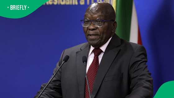 South African government slams Jacob Zuma's use of South African flag during Morocco trip