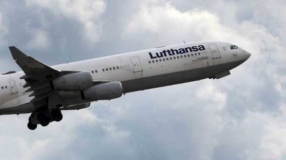 Lufthansa reports healthy profit, extending recovery