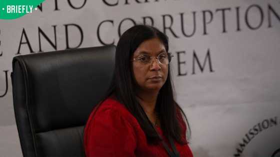 Andrea Johnson faces perjury calls after contradicting Adhoc committee testimony