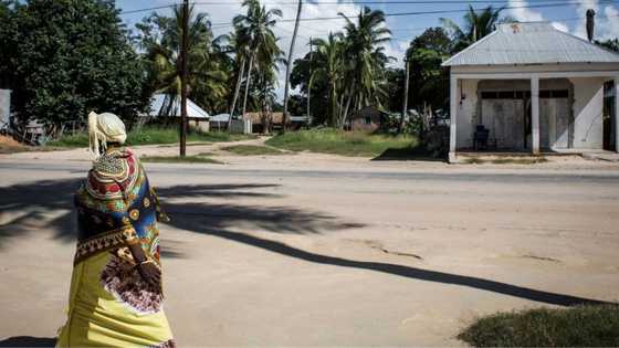 12 SA citizens believed to be part of Jihadist group in Mozambique