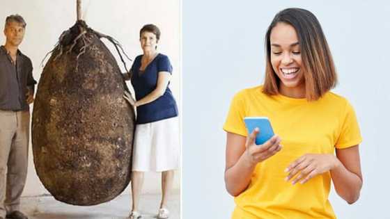 SA shares hilarious reactions to burial pod which turns dead bodies into compost for trees