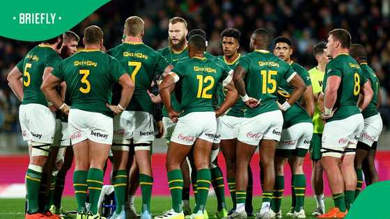 Springboks handed brutal route to 2027 Rugby World Cup final after draw