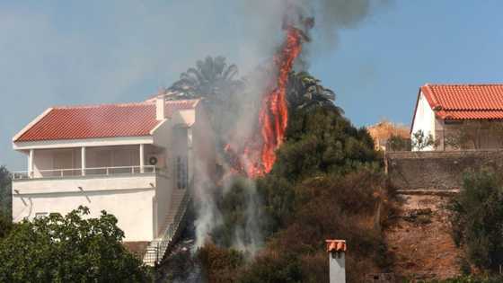 Greece on Sunday was battling three major wildfires in the north, in the south and in the east, amid high temperatures raising fears for more blazes. 