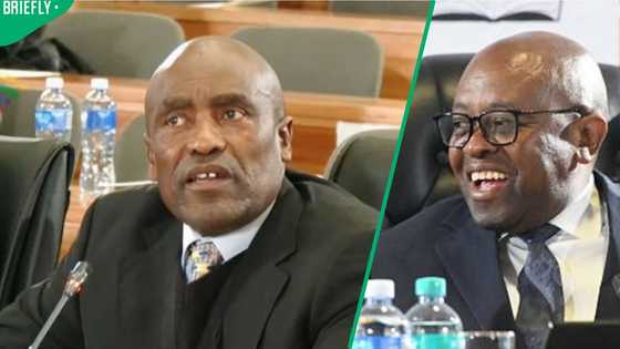 Court interpreter steals the show at Madlanga Commission with comical Zulu translation