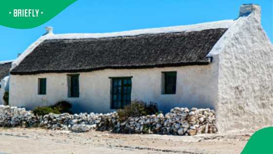 "It's probably 'slegs blankes'": A hidden village in Mzansi sparks controversy online