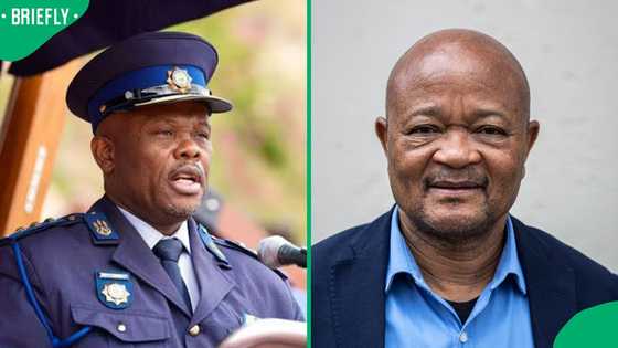 Ad Hoc draft report finds no evidence linking Senzo Mchunu or Shadrack Sibiya to criminal networks