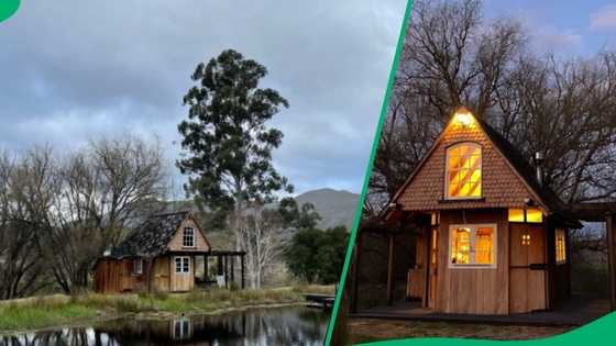 "I wouldn’t want to check out": SA in love with dreamy vacation cabin in Eastern Cape