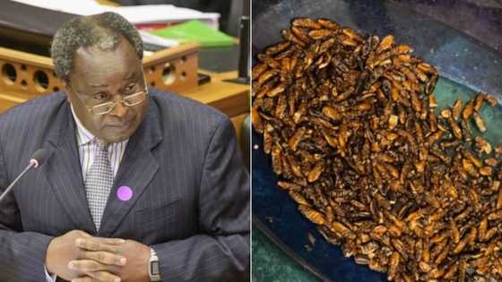 Foodie: Tito Mboweni challenges actress to cook-off, Mzansi can't wait