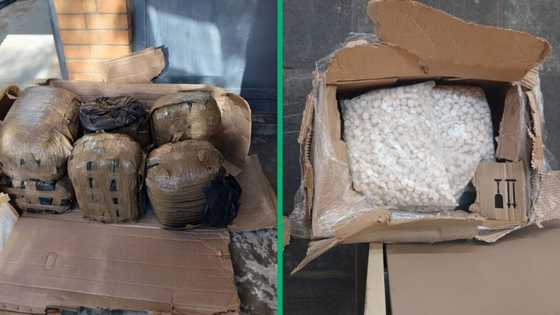 Truck driver caught with drugs worth R3.54 million in the Western Cape